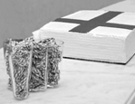 Finland Flag cake bw